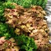 Heuchera villosa  'Caramel', Hairy Alumroot
